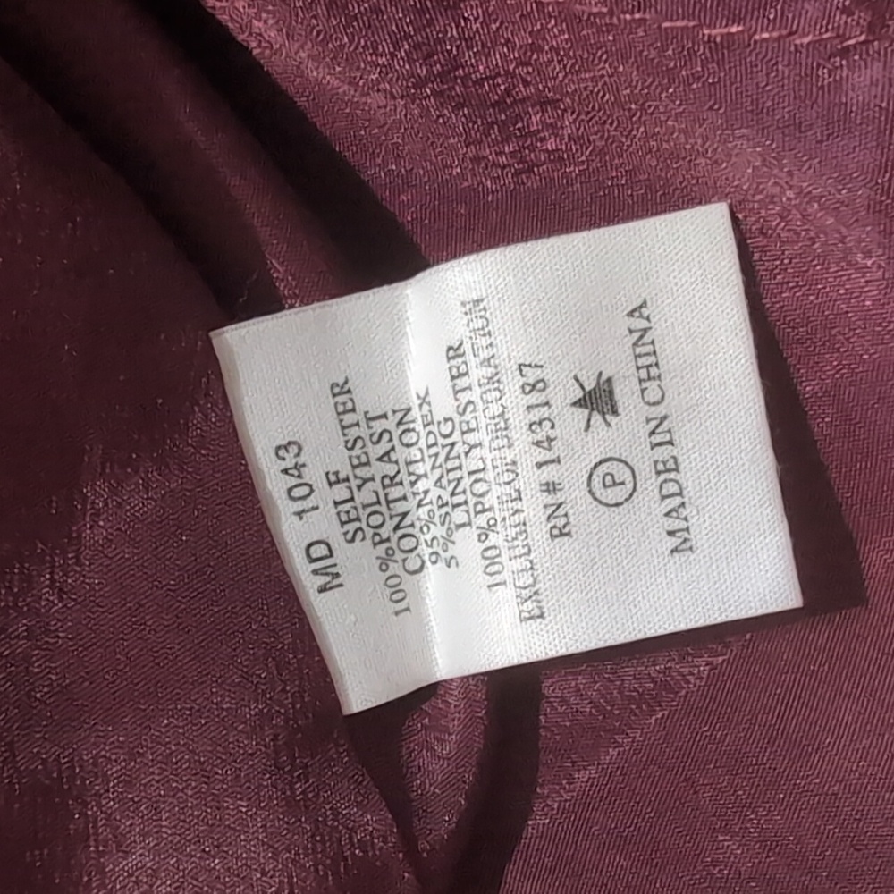 NWT Dance & Marvel Maroon Plunge Neck Vampire Goth Balloon Sleeve Dress Small - Picture 8 of 12